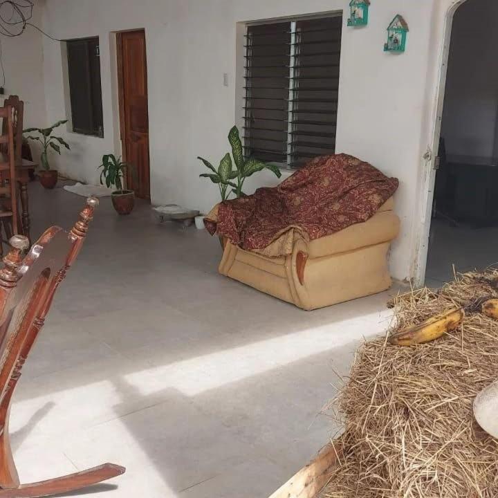 Hostal Brisas Del Ometepe Rivas Eksteriør billede